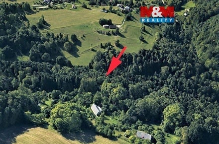 Prodej lesa 2 062 m², Koberovy