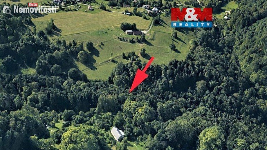 Prodej lesa 2 062 m², Koberovy