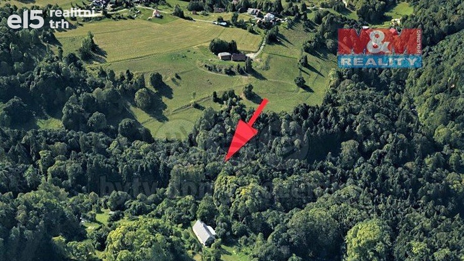 Prodej lesy, 2 062 m² - Koberovy