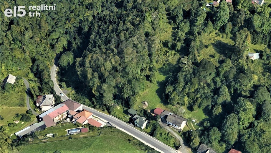 Prodej lesy, 987 m² - Koberovy