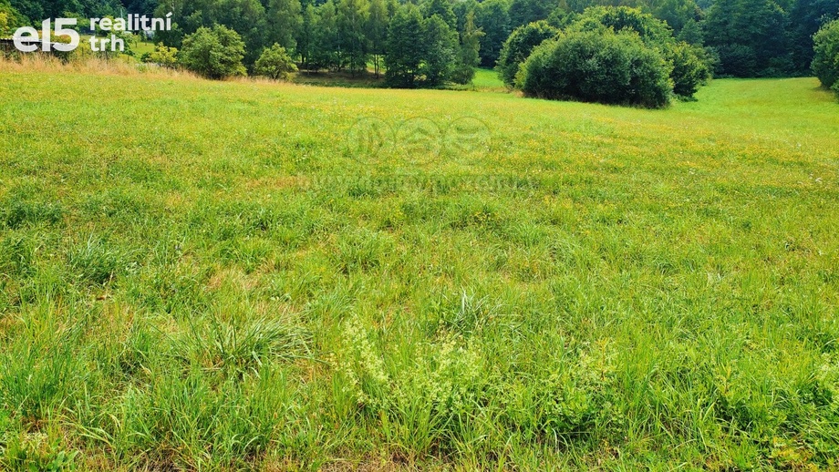 Prodej pozemky pro bydlení, 4 223 m² - Dětmarovice
