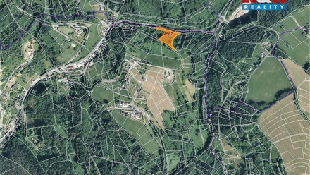 Prodej lesa 3 547 m², Koberovy