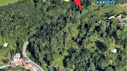 Prodej lesa 3 547 m², Koberovy