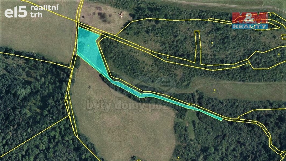 Prodej pozemky - trvalý travní porost, 4 385 m² - Mašťov