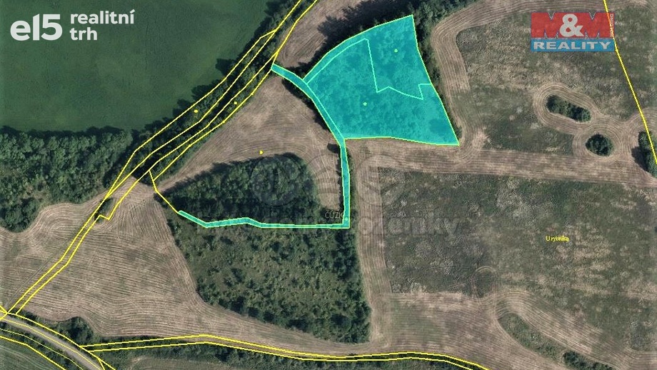 Prodej pozemky - trvalý travní porost, 9 839 m² - Mašťov