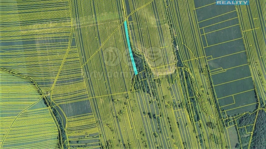 Prodej zemědělská půda, 1 981 m² - Kněždub