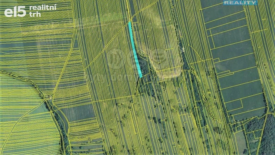 Prodej zemědělská půda, 1 981 m² - Kněždub