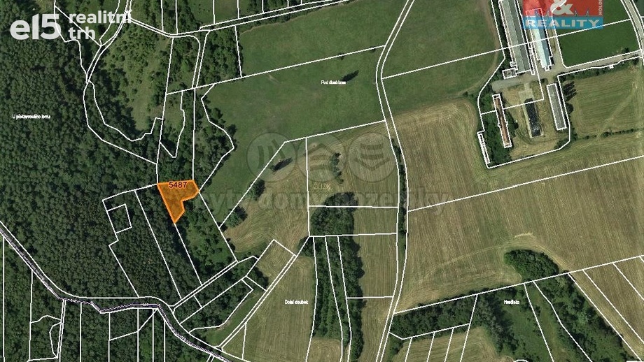 Prodej lesy, 1 374 m² - Borotín