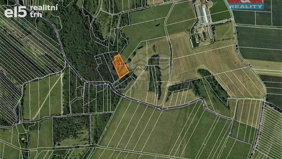 Prodej pozemky - trvalý travní porost, 4 646 m² - Borotín