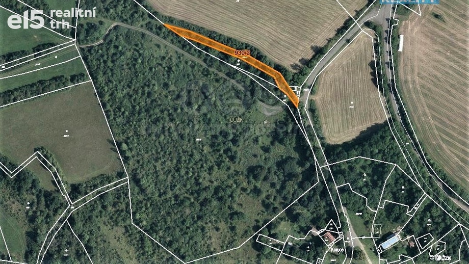Prodej lesy, 1 300 m² - Mašťov