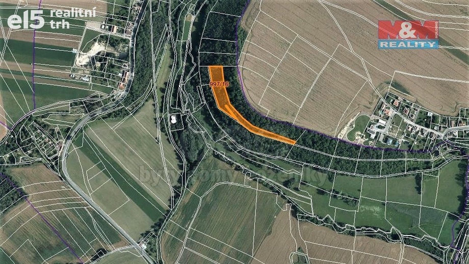 Prodej lesa 8 078 m², Skuteč