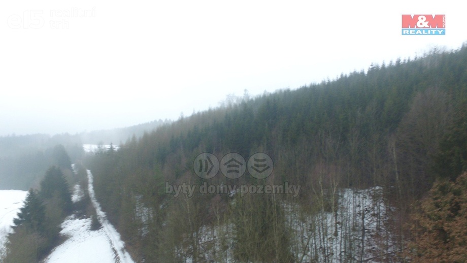 Prodej lesy, 89 634 m² - Řetová