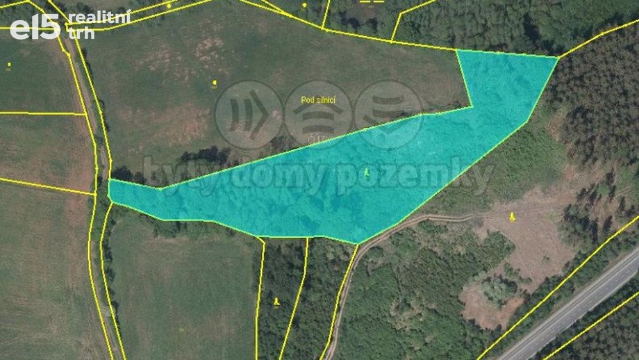 Prodej lesy, 13 753 m² - Úbislavice