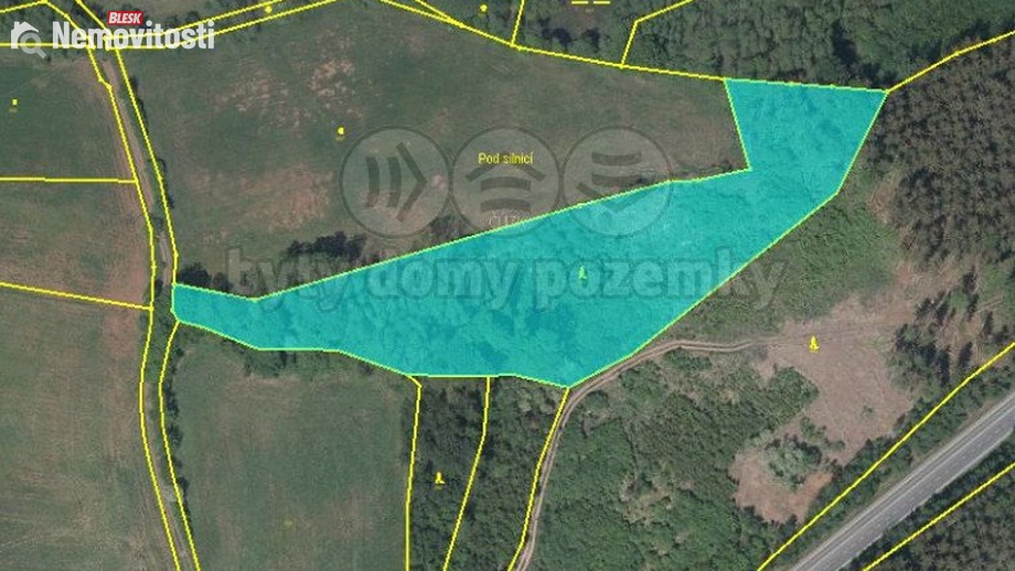 Prodej lesa 13 753 m², Úbislavice