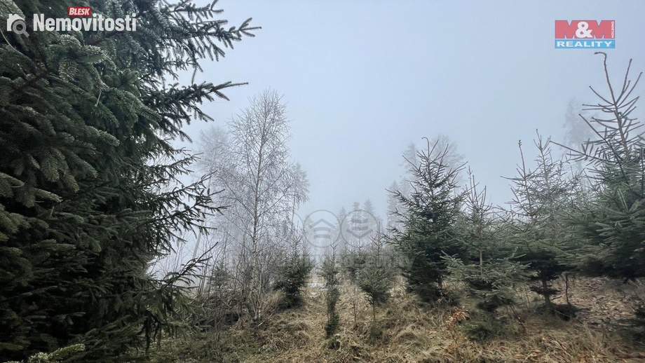 Prodej lesa 20 974 m², Stará Paka