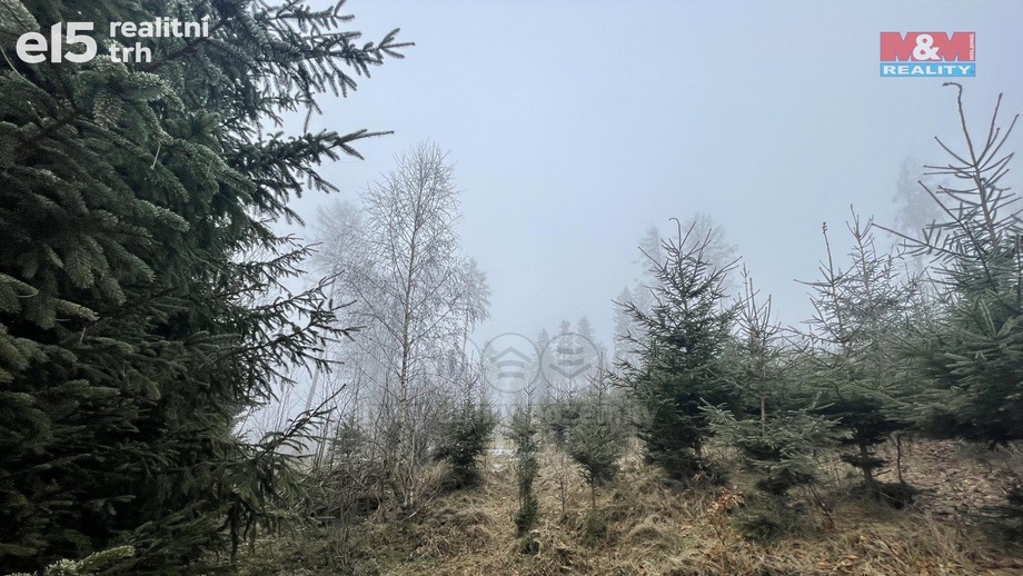 Prodej lesy, 20 974 m² - Stará Paka
