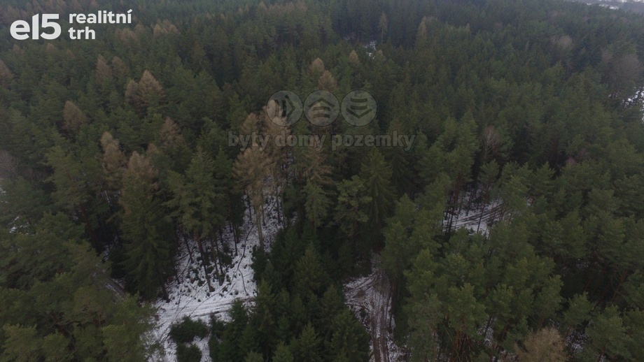 Prodej lesy, 16 113 m² - Jablonec nad Jizerou - Buřany