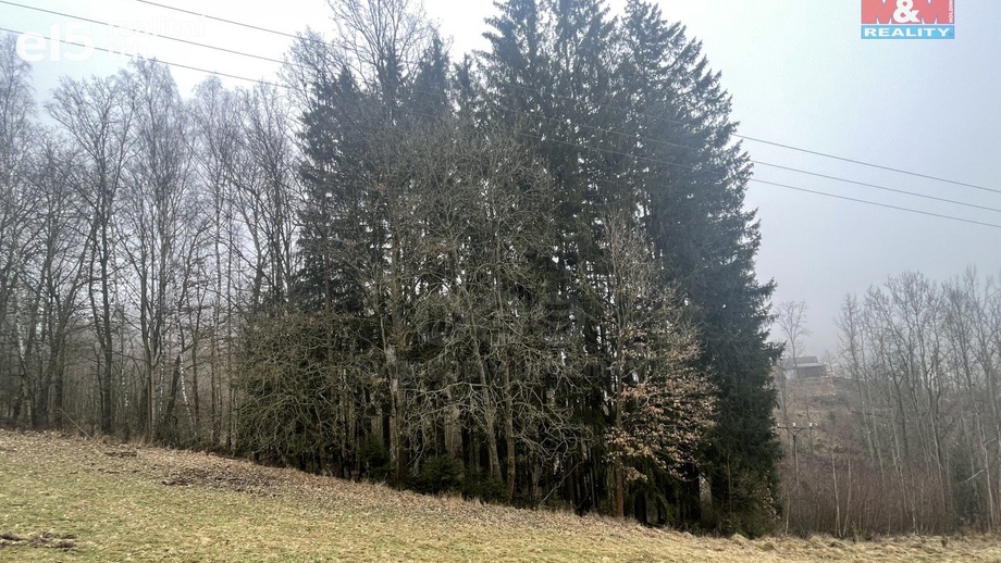 Prodej lesy, 33 054 m² - Košťálov