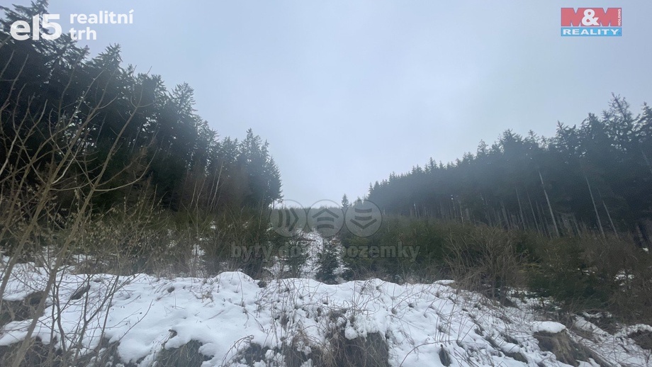 Prodej lesy, 22 863 m² - Bozkov