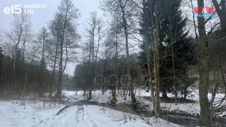Prodej lesy, 43 832 m² - Příkrý