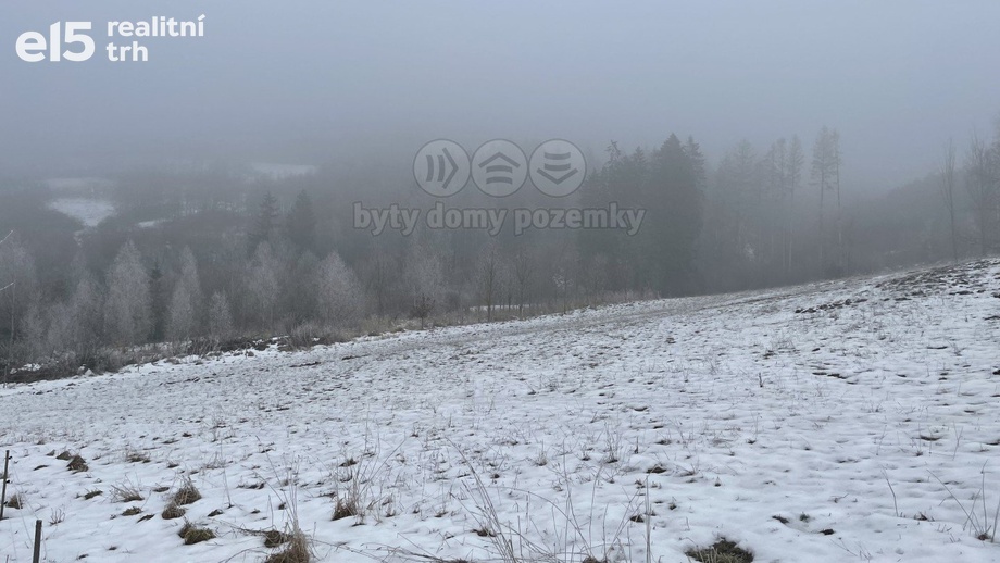 Prodej lesy, 8 638 m² - Železný Brod