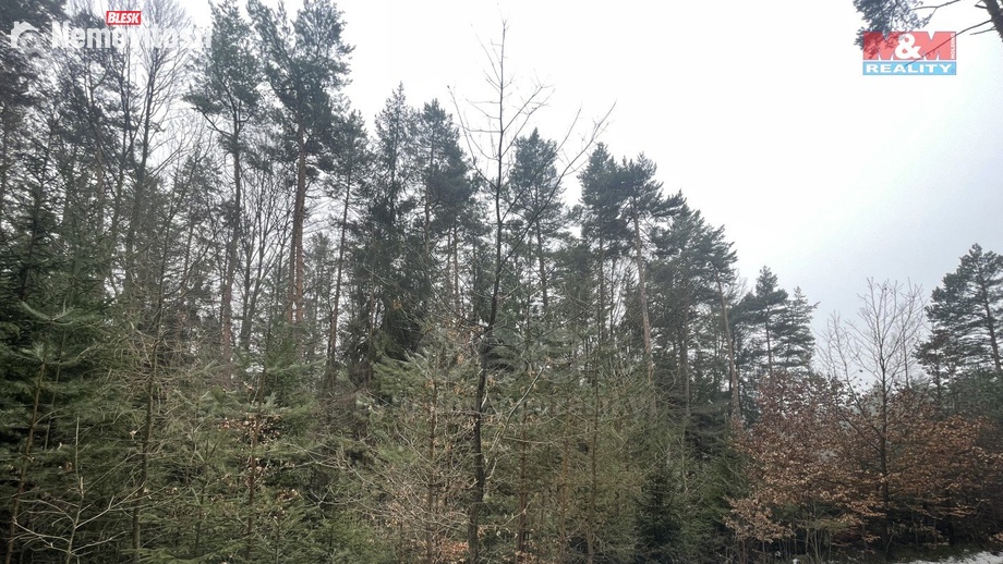 Prodej lesa 12 219 m², Záhoří - Smrčí