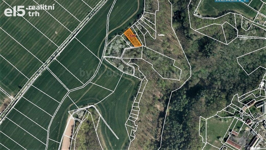 Prodej lesa 1 050 m², Mšeno