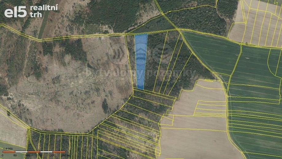 Prodej lesy, 8 547 m² - Stehlovice