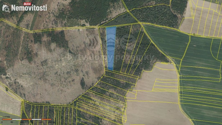 Prodej lesa 8 547 m², Stehlovice