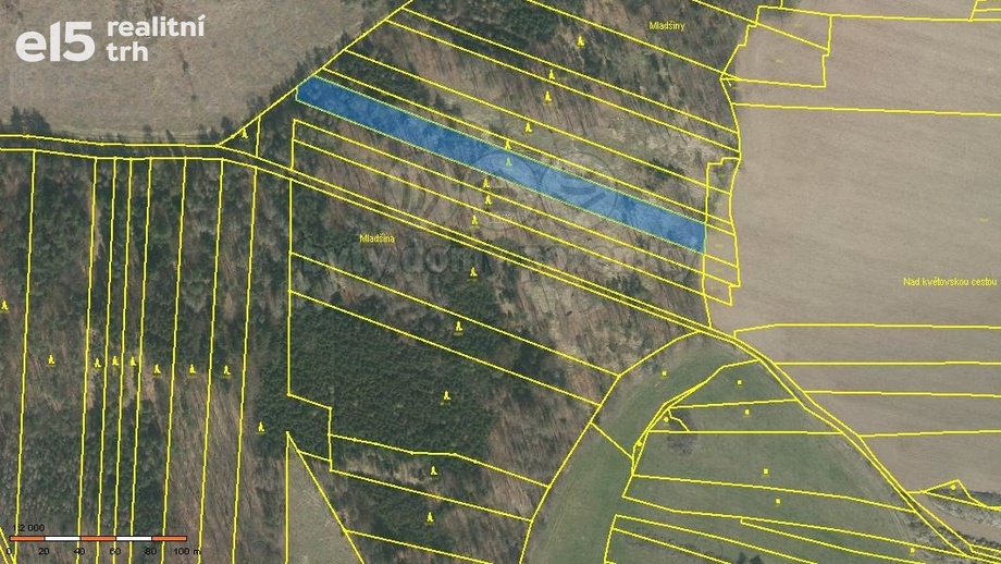 Prodej lesy, 3 290 m² - Stehlovice