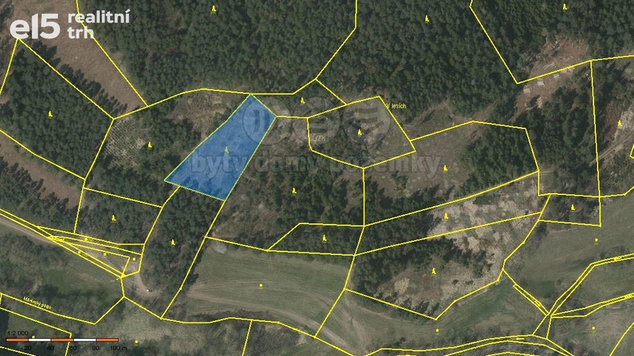 Prodej lesy, 4 046 m² - Přechovice