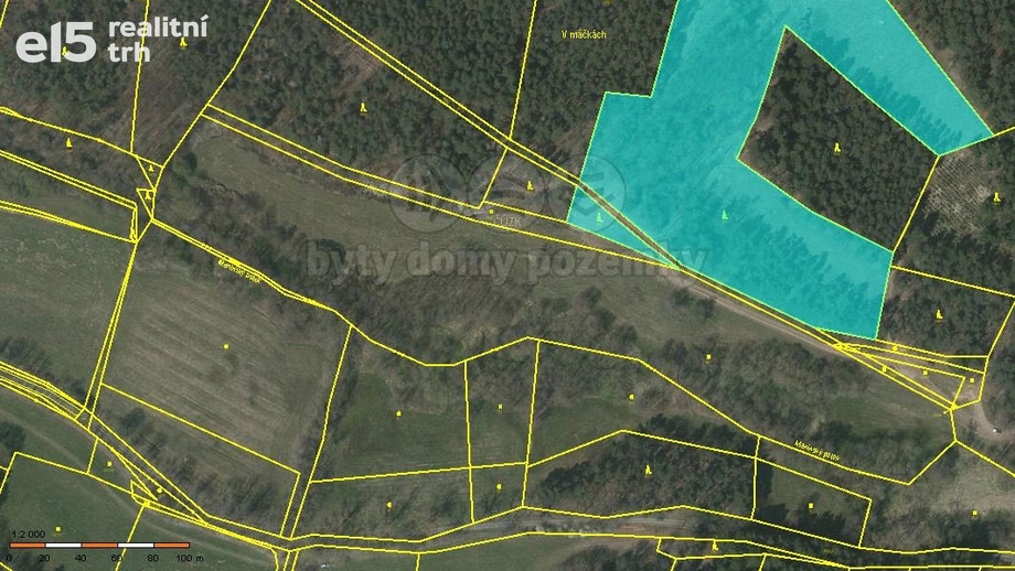 Prodej lesy, 26 262 m² - Přechovice