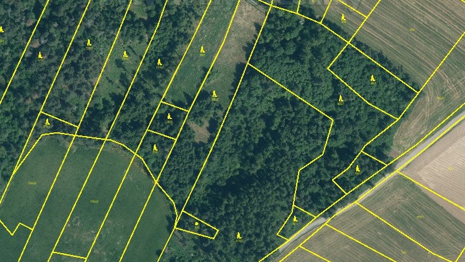 Prodej lesa 19 057 m², Malý Bor