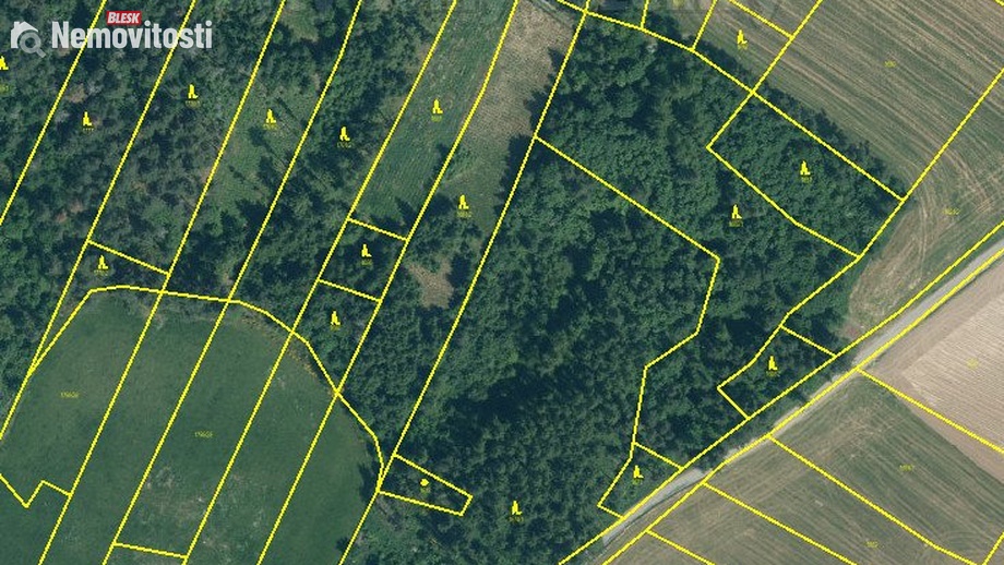 Prodej lesa 19 057 m², Malý Bor