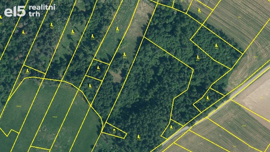 Prodej lesy, 19 057 m² - Malý Bor