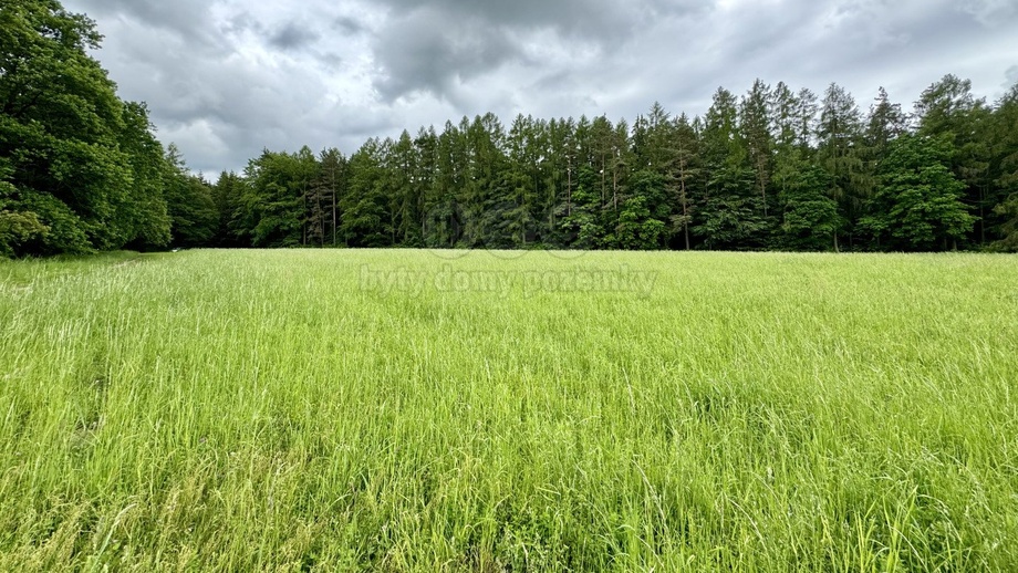 Prodej louky 19 172 m², Svojetice