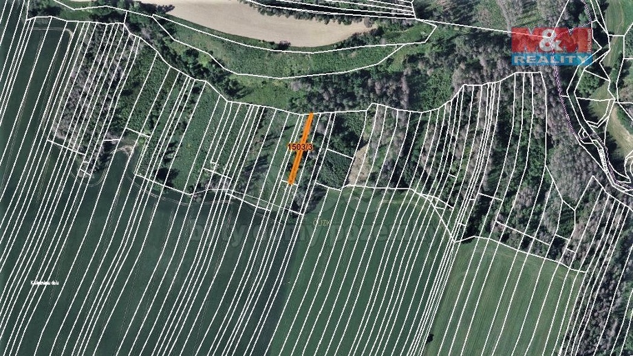 Prodej lesa 372 m², Trhový Štěpánov