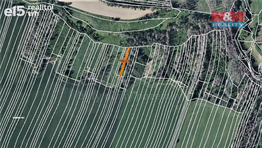 Prodej lesy, 372 m² - Trhový Štěpánov