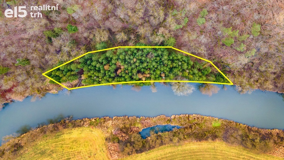 Prodej lesy, 3 632 m² - Zruč-Senec