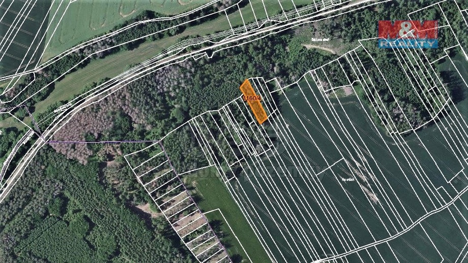 Prodej lesa 1 133 m², Trhový Štěpánov