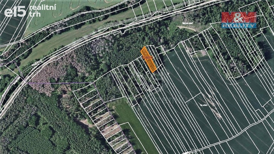 Prodej lesy, 1 133 m² - Trhový Štěpánov