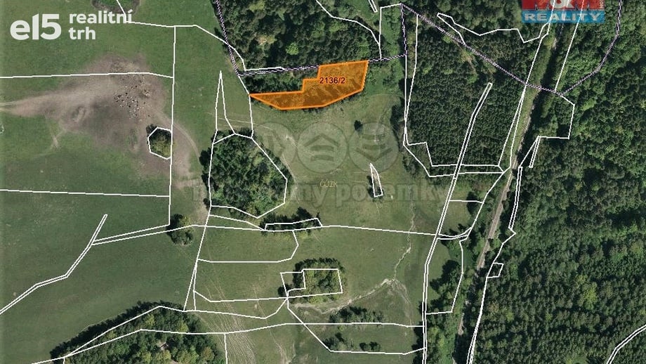 Prodej louky 3 918 m², Horní Dvořiště
