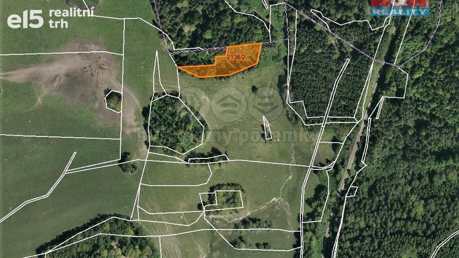 Prodej pozemky - trvalý travní porost, 3 918 m² - Horní Dvořiště