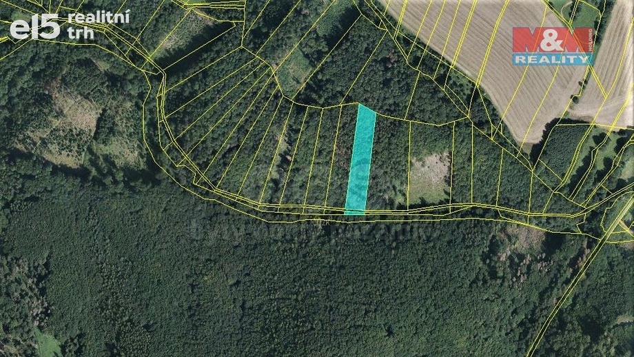 Prodej lesy, 2 021 m² - Vranová Lhota