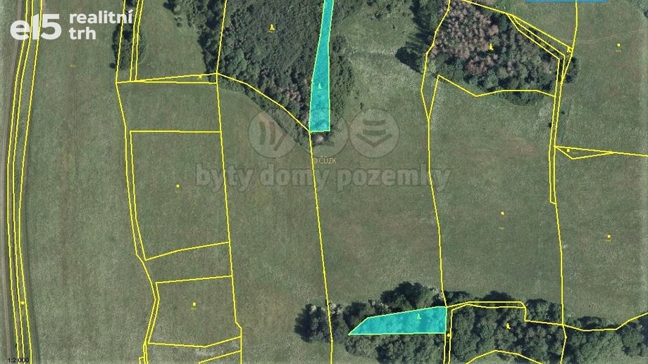 Prodej lesy, 725 m² - Velká Bukovina