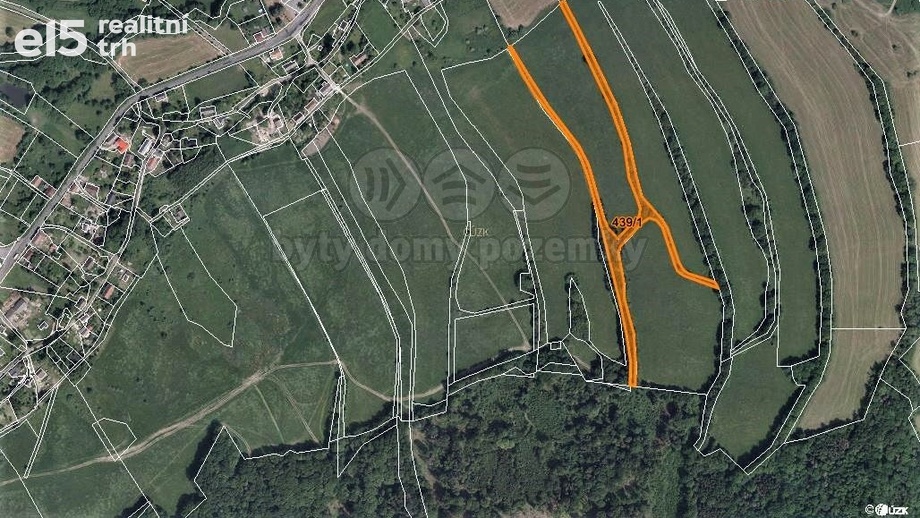 Prodej lesa 9 354 m², Žandov