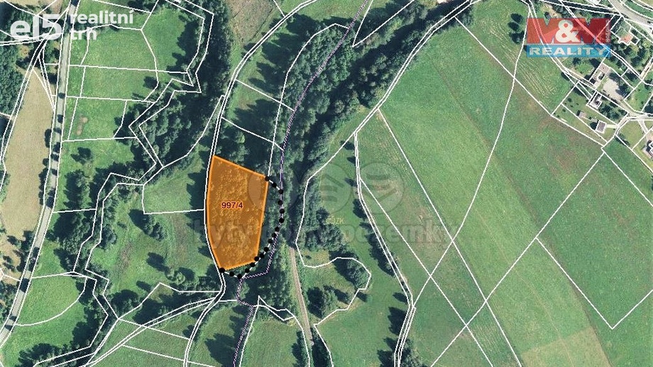 Prodej lesy, 9 502 m² - Bernartice