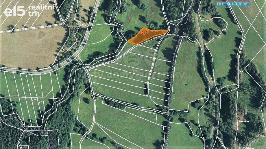 Prodej pozemky - trvalý travní porost, 2 455 m² - Bernartice