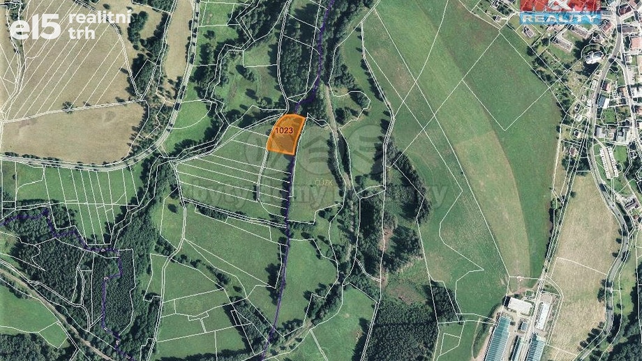 Prodej zemědělská půda, 4 370 m² - Bernartice