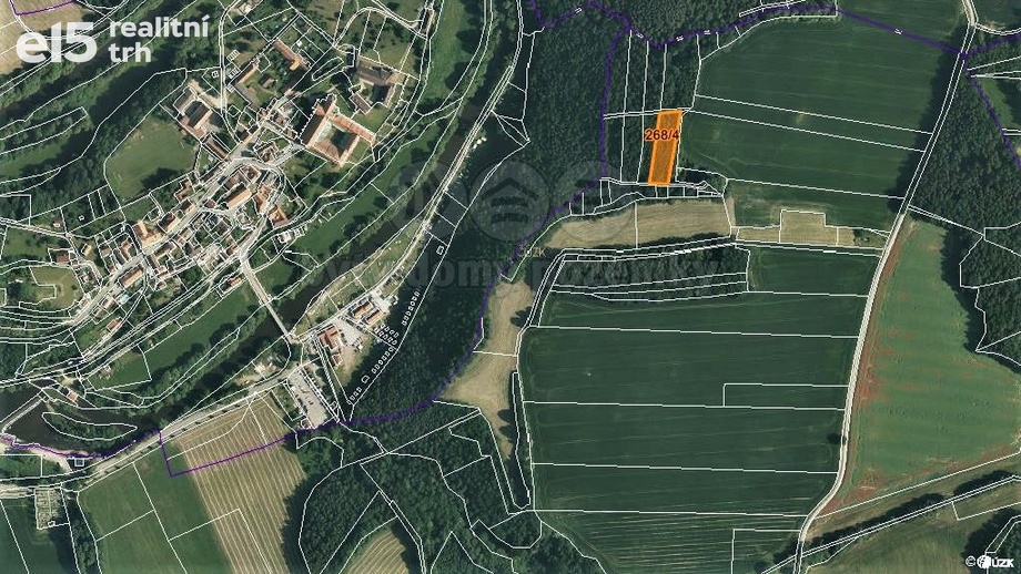 Prodej lesy, 2 465 m² - Zlatá Koruna